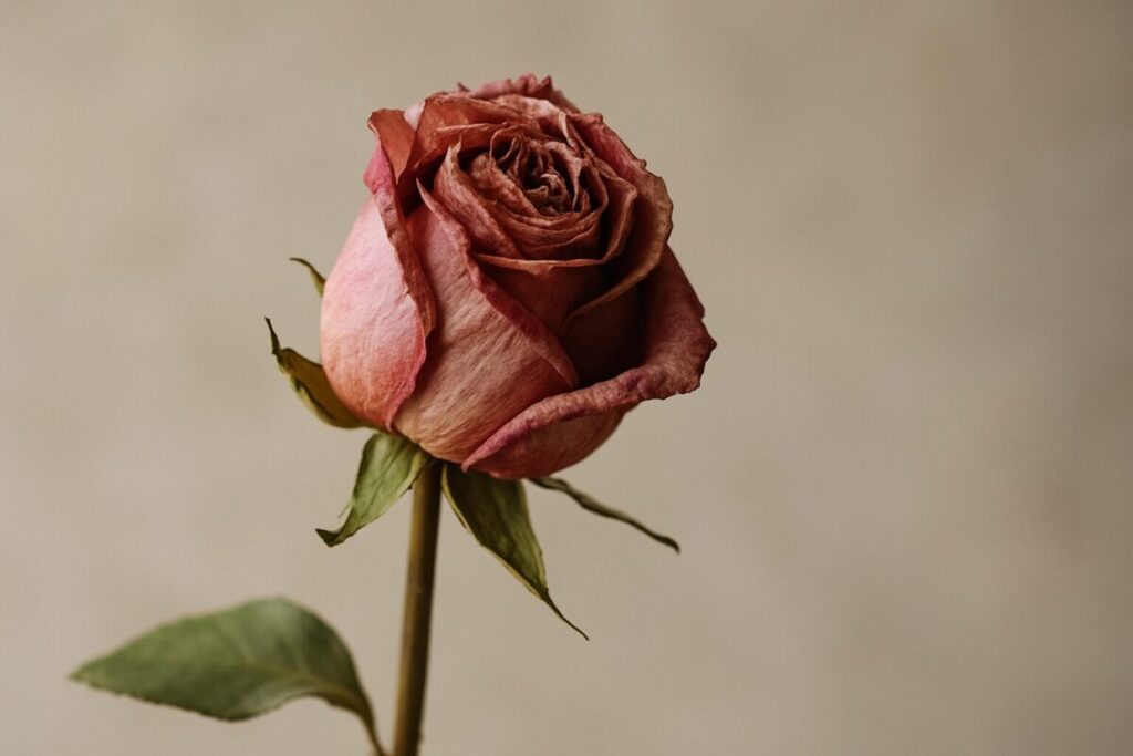 マンネリ離脱が恋愛や夫婦関係に必要な理由